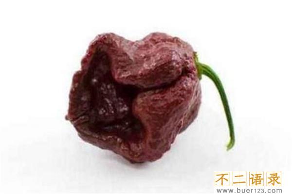 世界上最辣的十大辣椒 哈瓦那辣椒上榜红巨椒很是毒辣图片