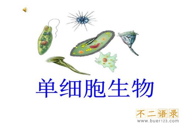 地球上生物的演变 生物进化的四个历程是什么