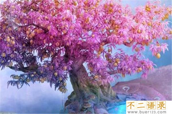 上古十大灵藤有哪些：建木神树是通天之树（连通天人两界）图片