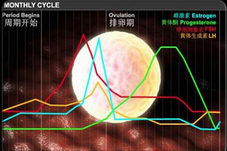 月经周期怎么算多少天正常 周期太短会早衰吗图片