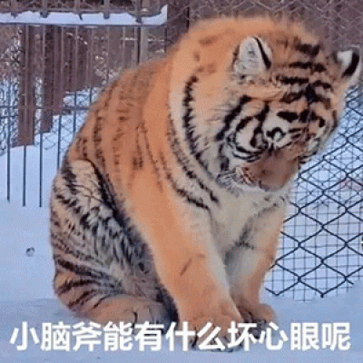 微信头像微信头像高冷女生简单气质图片