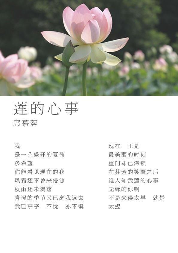 非常惊艳冷门的现代诗图片