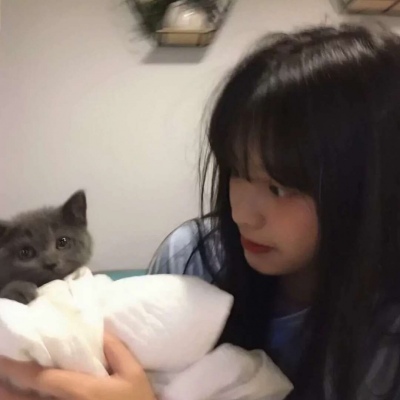 手绘动漫抱猫女生头像唯美图片