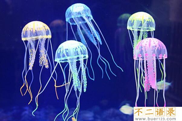水母的毒性有多强?世界上十大剧毒水母，致命性(附图片)图片