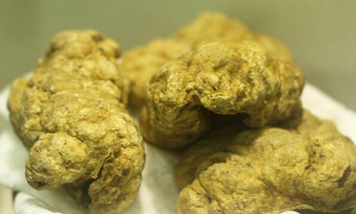 紫河车的功效与作用 为何说后悔吃了紫河车是什么图片