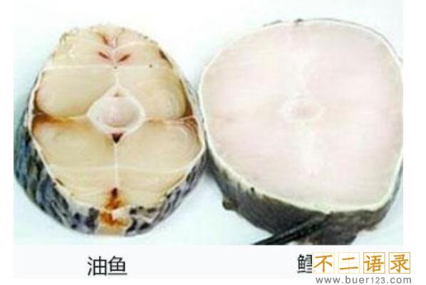 鳕鱼和油鱼怎么区分 记得着四个方面绝对不会买错