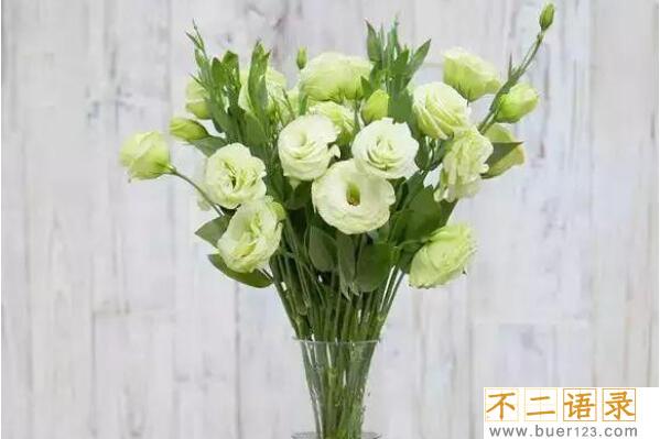 洋桔梗花的花语和传说 寓意忠贞永恒的爱(永远不离不弃)图片