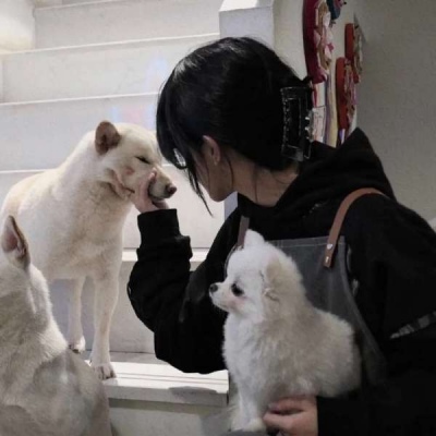 2021最新真人头像球球大作战头像女生可以通过图片