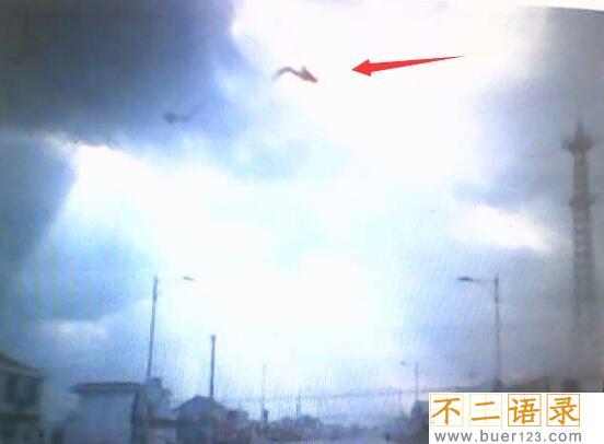 1995年安徽巨蟒渡劫事件，蟒蛇精化龙失败被雷劈死图片