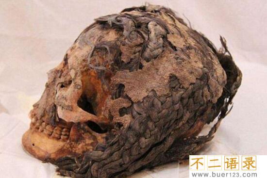 揭秘古埃及人的种族之谜 可能是棕色人种（古埃及文明消失）图片