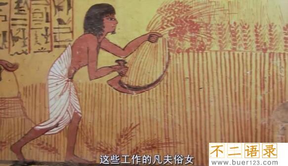 揭秘古埃及人的种族之谜 可能是棕色人种（古埃及文明消失）图片