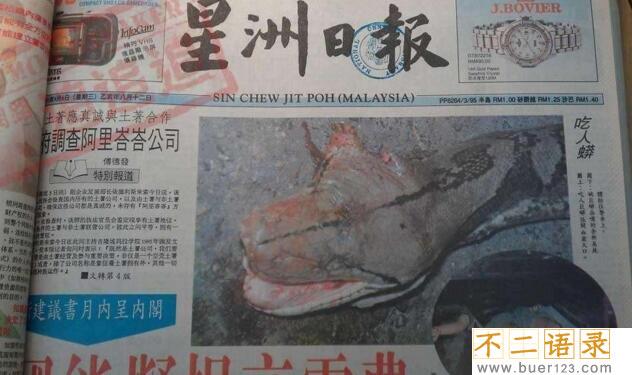 马来西亚蟒蛇吞人事件，缠死后人头被吞进蛇腹(视频)图片