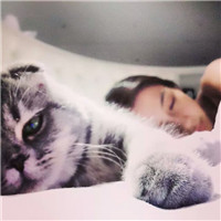 养猫咪的女孩头像 临别殷勤重寄词图片