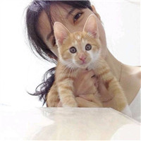 养猫咪的女孩头像 临别殷勤重寄词图片