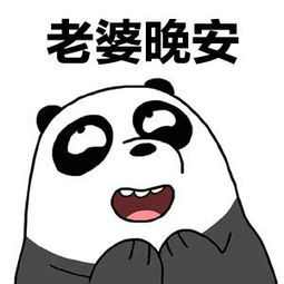 祝女朋友晚安的好句图片