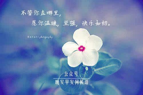 晚安前的一句暖心话对喜欢的人图片