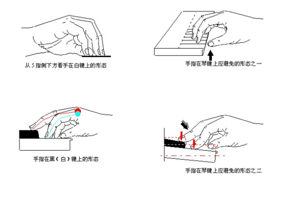 初学钢琴的8个指法图图片