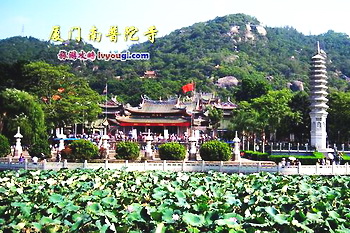 去厦门必玩的十大景点图片