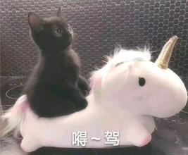 正能量的晚安心语短版