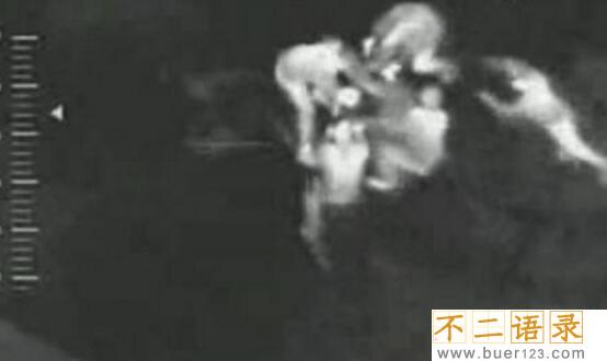 俄罗斯赤塔僵尸事件 拍到僵尸吃人画面（网友恶搞游戏视频）图片