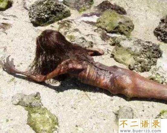美人鱼真的存在吗？真相告诉你世界上有没有美人鱼图片