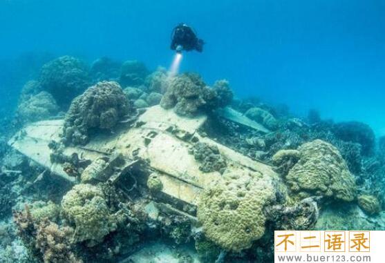 盘点全球十大惊悚地点，特鲁克泻湖横尸遍野(成死人堆)图片