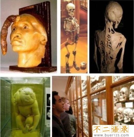 盘点全球十大惊悚地点，特鲁克泻湖横尸遍野(成死人堆)图片