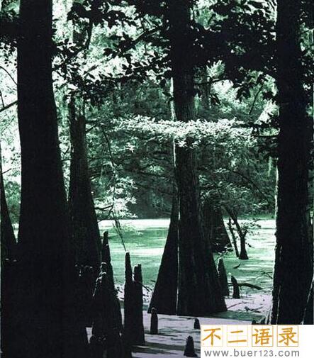 盘点全球十大惊悚地点，特鲁克泻湖横尸遍野(成死人堆)图片