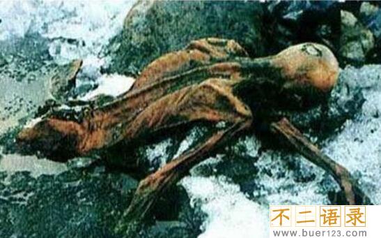探秘十大最邪门古墓，世界十大无人敢动的古墓(诡异至极)图片