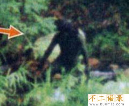 水猴子真的存在吗 水猴子并不真实存在（神话传说）图片