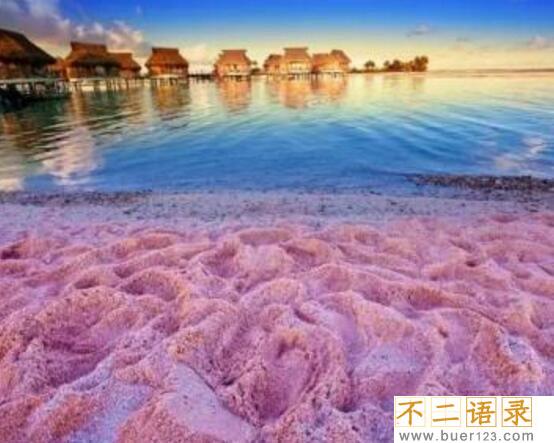 世界上最美丽的粉色沙滩，美得如梦如幻让人少女心爆炸图片