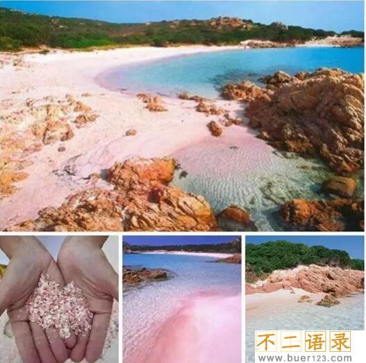 世界上最美丽的粉色沙滩，美得如梦如幻让人少女心爆炸图片
