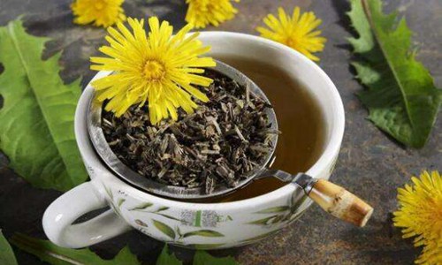 蒲公英茶的功效与作用及禁忌，要想养生别忽略了这些图片