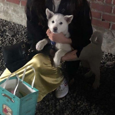 高清好看的优质高清气质女侧脸头像女生头像个性网图片