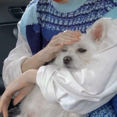 精选快手头像女生穿裙子图片