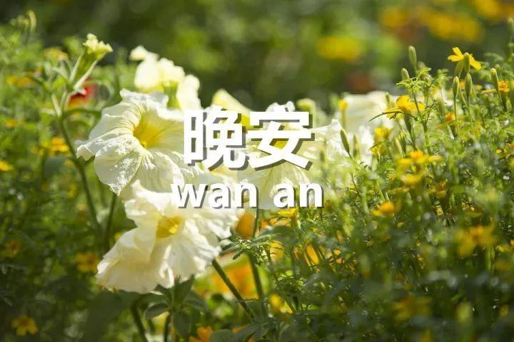 朋友圈晚安正能量经典语句图片