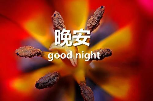 睡前发个朋友圈晚安语一句话图片