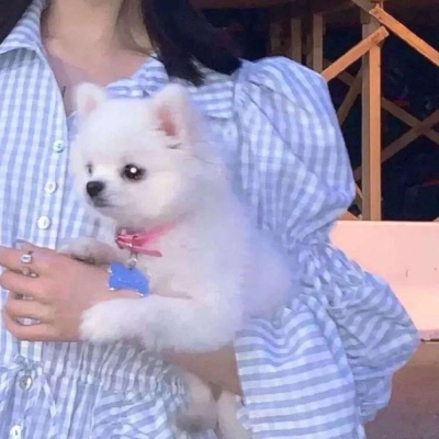高清美女女生头像可爱头像图片