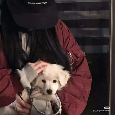微信撕心裂肺的哭女生动漫头像图片