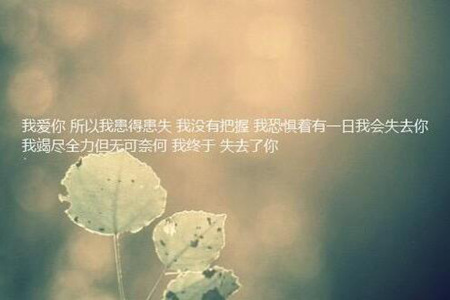 最美的歌词有哪些呢？看看网友们的分享图片