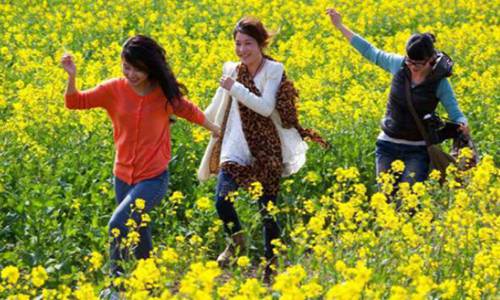 清明节是几月几日 你知道清明节的习俗有哪些吗图片