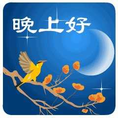 对女朋友说的晚安情话短句图片