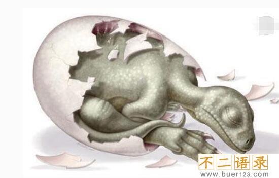 世界上最古老蛋，2.8亿年前的史前恐龙蛋(史前恐龙)图片