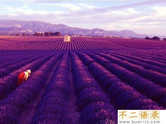 世界上最美好的地方，全球最美10个旅游地(美炸了/必去)图片