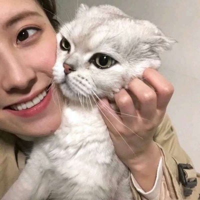 高清适合当头像的潮图好看的女生头像高冷动漫短发图片