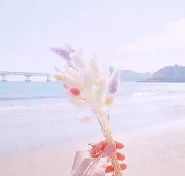女人很累句子说说心情图片