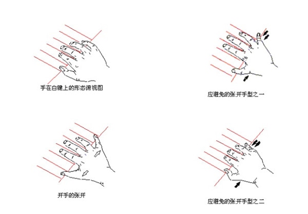 初学钢琴的8个指法图图片