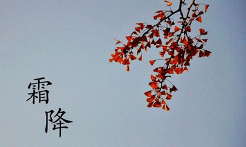 霜降节气的含义是什么 霜降养生注意事项图片