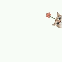 可爱动漫头像情侣 萌死人的小动物