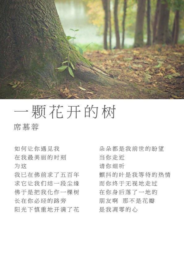 非常惊艳冷门的现代诗图片